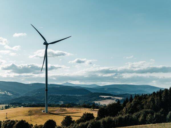 Energia wiatru - jak działa i jakie są jej zalety i wady
